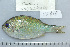  ( - UG0718)  @13 [ ] CreativeCommons - Attribution (2009) Unspecified Centre for Biodiversity Genomics