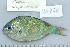  ( - UG0720)  @13 [ ] CreativeCommons - Attribution (2009) Unspecified Centre for Biodiversity Genomics
