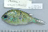  ( - UG0721)  @14 [ ] CreativeCommons - Attribution (2009) Unspecified Centre for Biodiversity Genomics