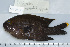  ( - UG0728)  @13 [ ] CreativeCommons - Attribution (2009) Unspecified Centre for Biodiversity Genomics