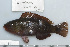  ( - UG0730)  @13 [ ] CreativeCommons - Attribution (2009) Unspecified Centre for Biodiversity Genomics