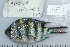  ( - UG0732)  @11 [ ] CreativeCommons - Attribution (2009) Unspecified Centre for Biodiversity Genomics