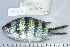  ( - UG0733)  @11 [ ] CreativeCommons - Attribution (2009) Unspecified Centre for Biodiversity Genomics