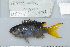  ( - UG0746)  @13 [ ] CreativeCommons - Attribution (2009) Unspecified Centre for Biodiversity Genomics