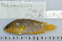  ( - UG0748)  @13 [ ] CreativeCommons - Attribution (2009) Unspecified Centre for Biodiversity Genomics