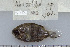  ( - UG0750)  @12 [ ] CreativeCommons - Attribution (2009) Unspecified Centre for Biodiversity Genomics