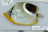  ( - UG0756)  @14 [ ] CreativeCommons - Attribution (2009) Unspecified Centre for Biodiversity Genomics