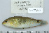  ( - UG0780)  @13 [ ] CreativeCommons - Attribution (2009) Unspecified Centre for Biodiversity Genomics