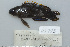  ( - UG0785)  @11 [ ] CreativeCommons - Attribution (2009) Unspecified Centre for Biodiversity Genomics