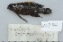 ( - UG0786)  @13 [ ] CreativeCommons - Attribution (2009) Unspecified Centre for Biodiversity Genomics