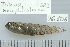  ( - UG0806)  @13 [ ] CreativeCommons - Attribution (2009) Unspecified Centre for Biodiversity Genomics