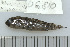  ( - UG0810)  @13 [ ] CreativeCommons - Attribution (2009) Unspecified Centre for Biodiversity Genomics