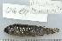  ( - UG0811)  @12 [ ] CreativeCommons - Attribution (2009) Unspecified Centre for Biodiversity Genomics