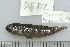  ( - UG0812)  @12 [ ] CreativeCommons - Attribution (2009) Unspecified Centre for Biodiversity Genomics