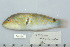  ( - UG0831)  @12 [ ] CreativeCommons - Attribution (2009) Unspecified Centre for Biodiversity Genomics