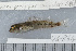  ( - UG0864)  @13 [ ] CreativeCommons - Attribution (2009) Unspecified Centre for Biodiversity Genomics