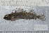  ( - UG0866)  @12 [ ] CreativeCommons - Attribution (2009) Unspecified Centre for Biodiversity Genomics