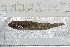  ( - UG0867)  @13 [ ] CreativeCommons - Attribution (2009) Unspecified Centre for Biodiversity Genomics
