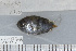  ( - UG0876)  @12 [ ] CreativeCommons - Attribution (2009) Unspecified Centre for Biodiversity Genomics