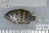  ( - UG0878)  @13 [ ] CreativeCommons - Attribution (2009) Unspecified Centre for Biodiversity Genomics