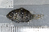  ( - UG0879)  @13 [ ] CreativeCommons - Attribution (2009) Unspecified Centre for Biodiversity Genomics