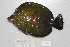  ( - UG0886)  @11 [ ] CreativeCommons - Attribution (2009) Unspecified Centre for Biodiversity Genomics