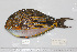  ( - UG0893)  @13 [ ] CreativeCommons - Attribution (2009) Unspecified Centre for Biodiversity Genomics