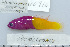  ( - UG0916)  @11 [ ] CreativeCommons - Attribution (2009) Unspecified Centre for Biodiversity Genomics