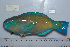  ( - UG0933)  @14 [ ] CreativeCommons - Attribution (2009) Unspecified Centre for Biodiversity Genomics