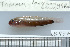  ( - UG0937)  @12 [ ] CreativeCommons - Attribution (2009) Unspecified Centre for Biodiversity Genomics