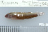  ( - UG0939)  @13 [ ] CreativeCommons - Attribution (2009) Unspecified Centre for Biodiversity Genomics