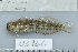  ( - UG0946)  @13 [ ] CreativeCommons - Attribution (2009) Unspecified Centre for Biodiversity Genomics