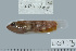  ( - UG0973)  @12 [ ] CreativeCommons - Attribution (2009) Unspecified Centre for Biodiversity Genomics