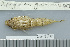  ( - UG0978)  @11 [ ] CreativeCommons - Attribution (2009) Unspecified Centre for Biodiversity Genomics