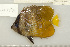  ( - UG0985)  @12 [ ] CreativeCommons - Attribution (2009) Unspecified Centre for Biodiversity Genomics
