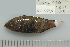  ( - UG1015)  @11 [ ] CreativeCommons - Attribution (2009) Unspecified Centre for Biodiversity Genomics