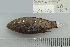  ( - UG1016)  @11 [ ] CreativeCommons - Attribution (2009) Unspecified Centre for Biodiversity Genomics