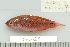  ( - UG1020)  @13 [ ] CreativeCommons - Attribution (2009) Unspecified Centre for Biodiversity Genomics