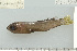  ( - UG1020)  @13 [ ] CreativeCommons - Attribution (2009) Unspecified Centre for Biodiversity Genomics