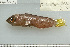  ( - UG1021)  @12 [ ] CreativeCommons - Attribution (2009) Unspecified Centre for Biodiversity Genomics