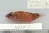 ( - UG1023)  @13 [ ] CreativeCommons - Attribution (2009) Unspecified Centre for Biodiversity Genomics