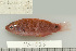  ( - UG1026)  @13 [ ] CreativeCommons - Attribution (2009) Unspecified Centre for Biodiversity Genomics