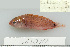  ( - UG1030)  @13 [ ] CreativeCommons - Attribution (2009) Unspecified Centre for Biodiversity Genomics