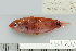  ( - UG1031)  @13 [ ] CreativeCommons - Attribution (2009) Unspecified Centre for Biodiversity Genomics