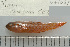  ( - UG1041)  @13 [ ] CreativeCommons - Attribution (2009) Unspecified Centre for Biodiversity Genomics