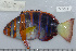  ( - UG1059)  @13 [ ] CreativeCommons - Attribution (2009) Unspecified Centre for Biodiversity Genomics