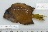  ( - UG1066)  @12 [ ] CreativeCommons - Attribution (2009) Unspecified Centre for Biodiversity Genomics