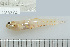  ( - UG1076)  @13 [ ] CreativeCommons - Attribution (2009) Unspecified Centre for Biodiversity Genomics