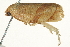  ( - SNS10IL-01024)  @12 [ ] CreativeCommons - Attribution (2011) CBG Photography Group Centre for Biodiversity Genomics