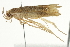  ( - SNS10IL-00482)  @12 [ ] CreativeCommons - Attribution (2011) CBG Photography Group Centre for Biodiversity Genomics